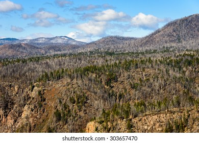 Valles Caldera National Preserve