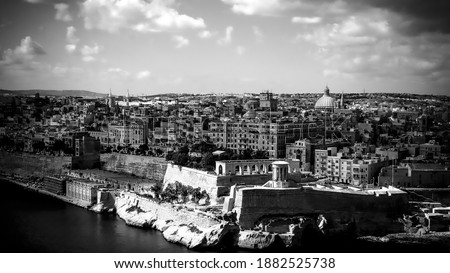 Vieux Port Umwelt Natur