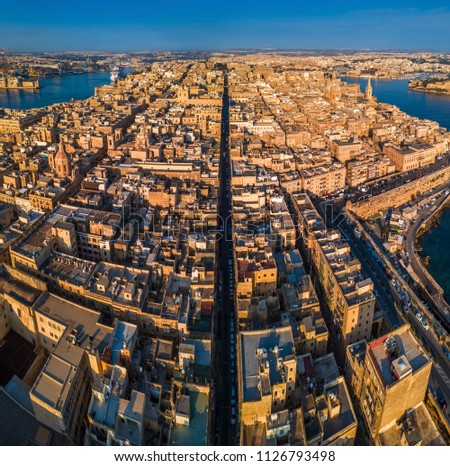 Similar – Gargoyle auf Notre Dame in Paris