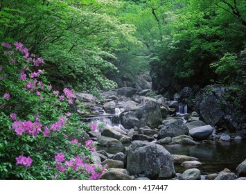 Valley