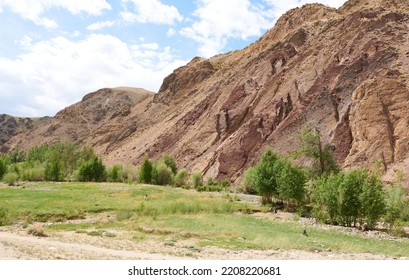 Valley In The Altai Mountains Close-up. Beautiful Photo Wallpaper Of Nature. Concept - Hiking In The Altai Mountains.