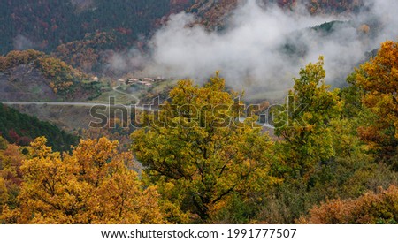 Gréixer Valley, in autumn, at the Moixeró foothill in the Cadí-Moixeró Natural Park (Berguedà, Catalonia, Spain, Pyrenees)