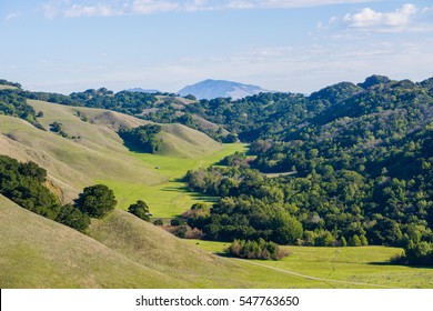 Briones Regional Park High Res Stock Images Shutterstock