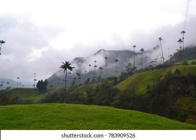 Cocora´s Valley In Colombia