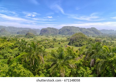 Viñales Valley In Cuba