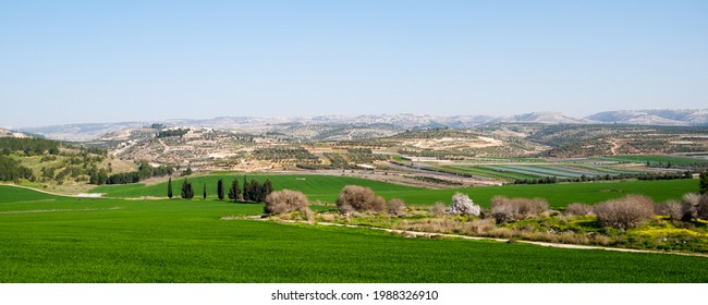 The Valley Of Elah And The Judea Mountains In The Back