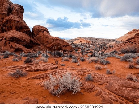 Valley of Fire State Park landscape with bright red rock and green shrubs. 