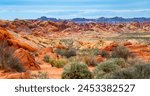 Valley of Fire State Park wide angle panorama. Public nature preservation area south of Overton, Nevada (USA) in Mojave Desert, near Las Vegas. Scenic road in colorful red sandstone scenery and plants