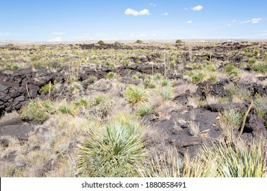 Valley Of Fires Recreation Area In Tularosa Valley, New Mexico, USA