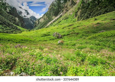 Valley Of Flowers National Park , INDIA