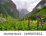 Valley of flowers, trek destination in the chamoli district of Uttarakhand, India during monsoon. Hemkund Sahib Gurudwar is the highest Gurudwar in India situated here.