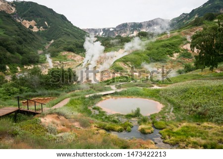 Valley of Geysers in Kronotsky Nature Reserve. A geyser field on Kamchatka Peninsula, Russia. Steaming slopes around Geysernaya River, into which geothermal waters flow from stratovolcano Kikhpinych.