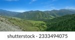 The valley (gorge) of the mountains. The southern exposure of the slope is covered with forest, the northern one is meadow and gravelly (golets). Altai Territory