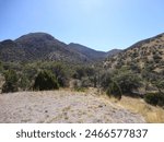 Valley and Hilltops in the Huachuca Mountains