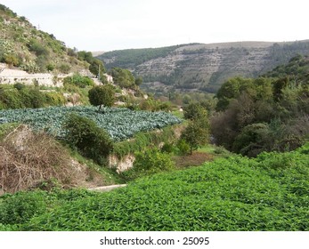 A valley in Iblei Mountains, Ragusa, Sicily. Vallata nei Monti Iblei, Ragusa, Sicilia.