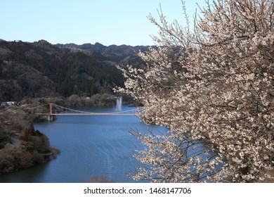 110 Imágenes De Ume River - Imágenes, Fotos Y Vectores De Stock ...