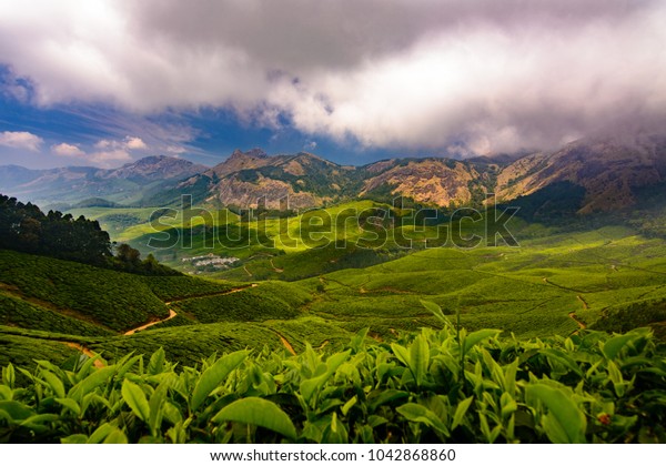 Valley Kulukumalai Munnar Kerala India Backgrounds Textures Stock Image 1042868860