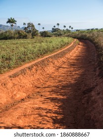 Viñales Valley Landscape In Cuba