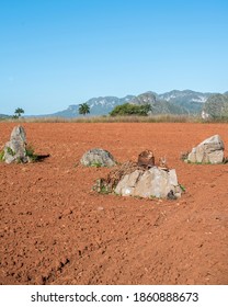 Viñales Valley Landscape In Cuba