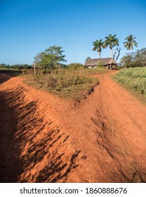 Viñales Valley Landscape In Cuba