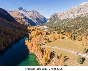 Valley With Mountain Lake In Swiss National Park