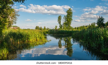 Valley Of Narewka In Bialowieza, Poland