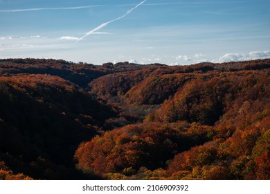 Valley in Söderåsens Nationalpark in Sweden during autumn. Golden leaves on the trees are covering the walls of the canyon. Brown, red and yellow leaves. Fall in Swedish forest, Höst i Sverige