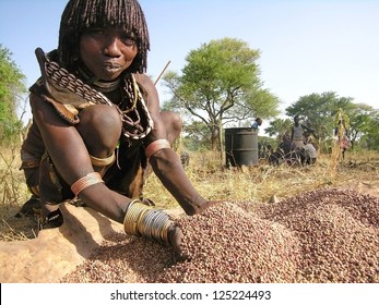 VALLEY OMO, ETHIOPIA - MARCH 12: Unidentified Hamer woman prepares sorghum for making beer at the festival dedicated to initiation rite for young men in Dimeka, March 12, 2012 in Omo Valley, Ethiopia.