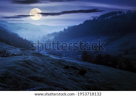valley on the foggy night. village in the distance. grass and flowers on the hill in full moon light. beautiful countryside scenery. dark clouds on the sky