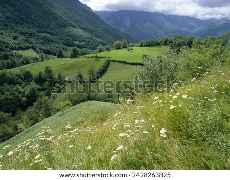 Valley of the river berthe near accous, bearn, pyrenees, aquitaine, france, europe