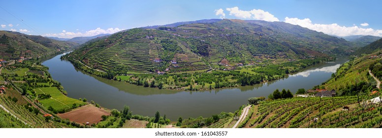 Valley of river Douro with vineyards near Mesao Frio (Portugal) - panoramic view