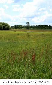 Valley Of The River Nete, Vriesel, Belgium