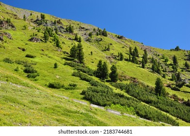 Valley In Stelvio National Park