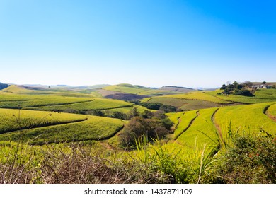 Valley Of A Thousand Hills Landscape. Green Hills Panorama. South African Landmark Near Durban.