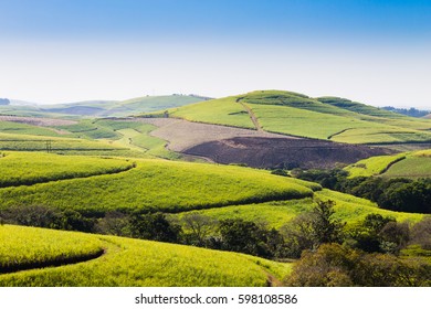 Valley Of A Thousand Hills Landscape. Green Hills Panorama. South African Landmark Near Durban.