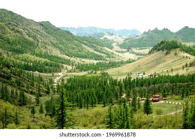 A valley of a trees