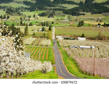 Valley View In Hood River