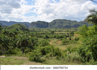 Viñales Valley View Landscape Garden