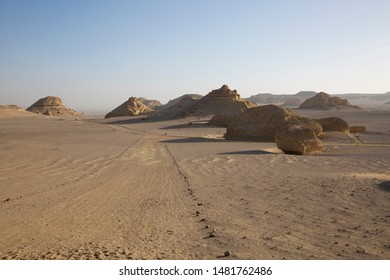 Valley Of Whales In Al Fayoum City