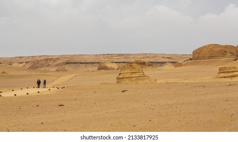 Valley of the Whales or Wadi Al-Hitan - January 2022: Paleontological site in the Faiyum Governorate of Egypt