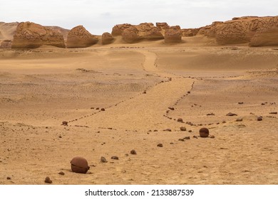 Valley of the Whales or Wadi Al-Hitan. Paleontological site in the Faiyum Governorate of Egypt