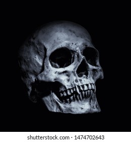 Vampire Skull On A Black Background