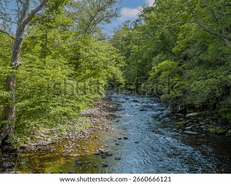 The Van Campens Mill Brook stream in Hardwick Township, Warren County, New Jersey.