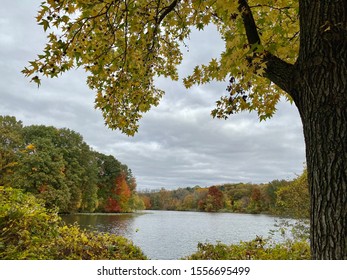 Van Cortlandt Park