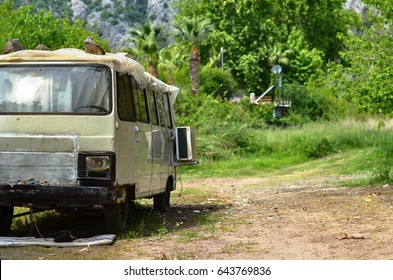 van in forest