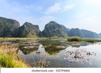 Van Long Reserve Where Take The Movie Kong: Skull Island