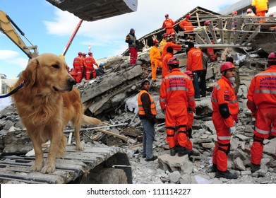 VAN, TURKEY - NOV 10: After The Earthquake In Van, Rescue Teams Are Searching For Earthquake Victims With The Help Of Rescue Dogs On November 10, 2011 In Van Turkey.