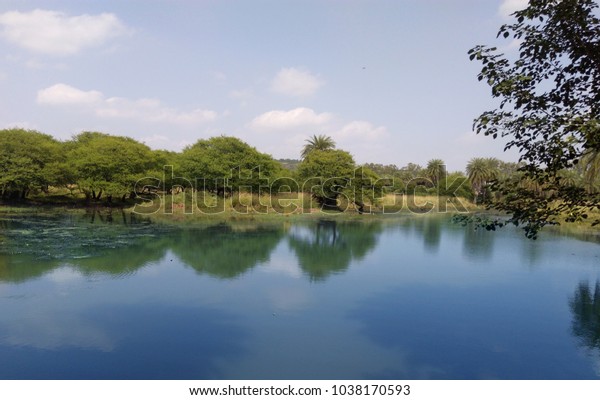 Van Vihar National Park Bhopal Mp Stock Photo (Edit Now) 1038170593