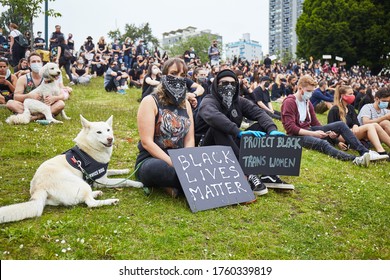 Vancouver, BC, Canada - Jun 19 2020: Protesting Couple With A Dog Sitting In A Park On Grass With Black Banners 