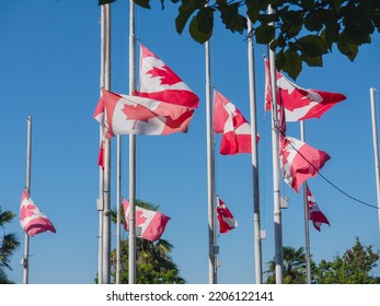 Vancouver, BC Canada - September 19, 2022: Sunny Weather In Vancouver For National Day Of Mourning For Queen Elizabeth II.